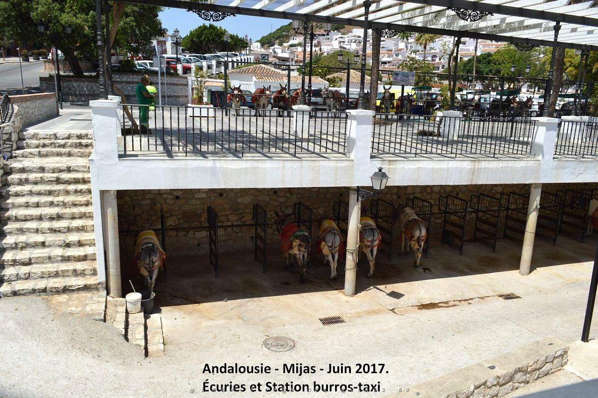 419- Mijas.JPG